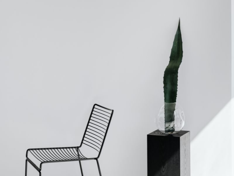 A black metal chair beside a black wooden block with a clear globe-shaped glass vase on top containing a single green agave leaf. Photo by Kaboompics. Edited in Canva. https://kaboompics.com/photoshoot/agave-leaf-minimalist-interior