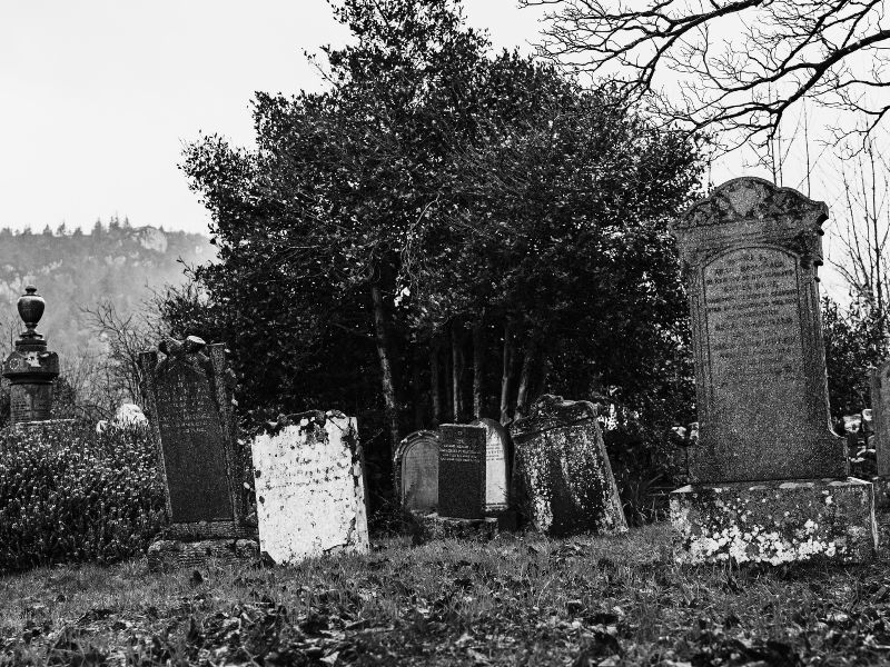 Monochrome photo of moss covered tombstones in an overgrown cemetary. Photo by Michal Robek from Pexels. Edited on Canva.